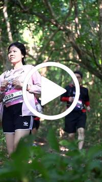 BIB:  <button type="button" onclick="openModal(28078434)" class="btn btn-primary btn-sm float-right" data-toggle="modal" data-target=".modal-high-quality">
                <i class="fa fa-download"></i> Download
                </button>